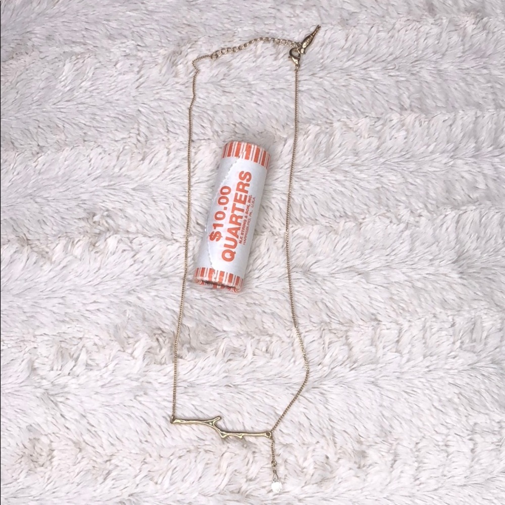 Chloe and Isabel twig necklace